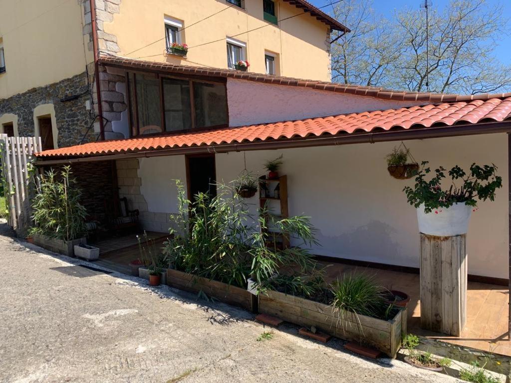 Ferienwohnung El Naranjo, Reate Lss00277 Usúrbil Exterior foto
